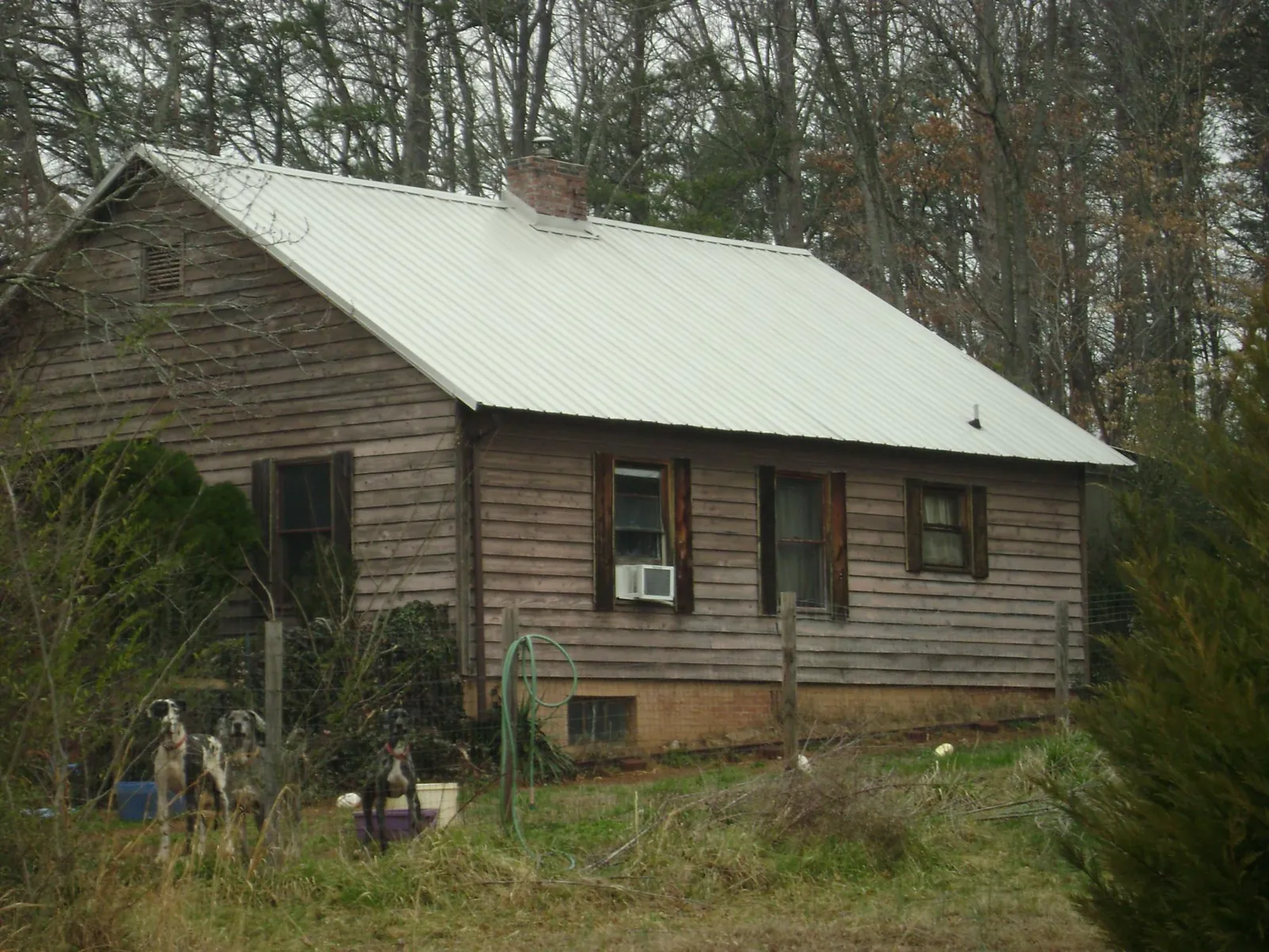 White metal roof on an old wood sided farmhouse, from a Asphalt Shingle Roof Repair job in Saint Clairsville